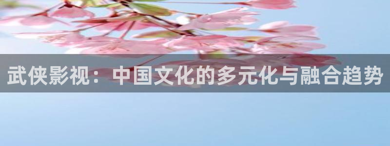 斑马公社：武侠影视：中国文化的多元化与融合趋势