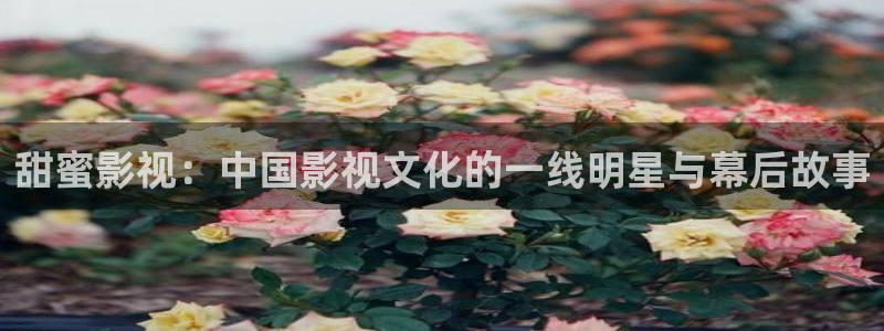 南京斑马影视：甜蜜影视：中国影视文化的一线明星与幕后故事
