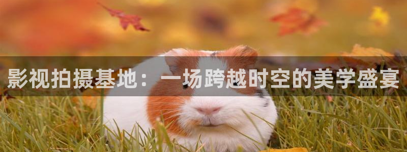 个斑马：影视拍摄基地：一场跨越时空的美学盛宴