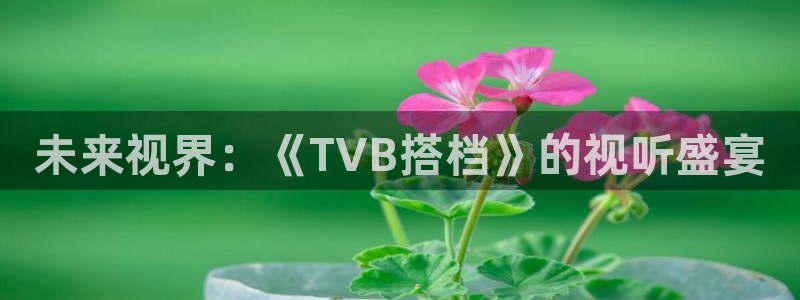 斑马视频电影：未来视界：《TVB搭档》的视听盛宴