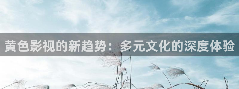 斑马170xi4：黄色影视的新趋势：多元文化的深度体验