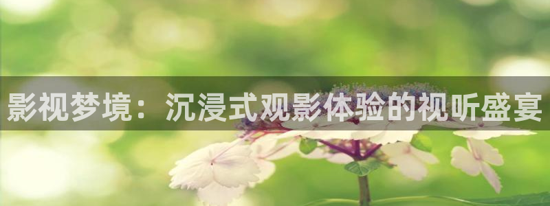 斑马复古：影视梦境：沉浸式观影体验的视听盛宴