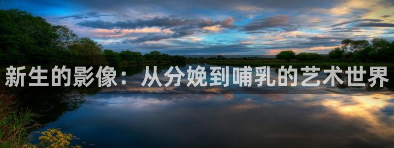 斑马tc25cj：新生的影像：从分娩到哺乳的艺术世界